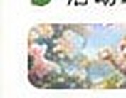 Toutes les monnaies expliquées : guide gacha & dépenses F2P