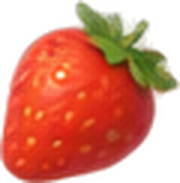 Fruchtmarmelade