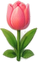 Frische Blumen